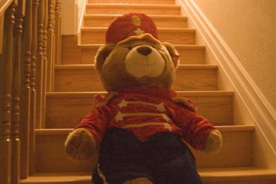 March of the teddy bear