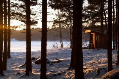 Trees and Light, (by Mats Lestander)