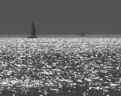 Sea of Light