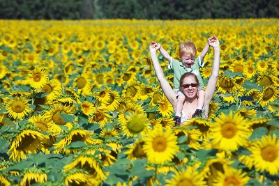 3.  ... playing in the sunflowers with mum.