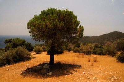 Samos