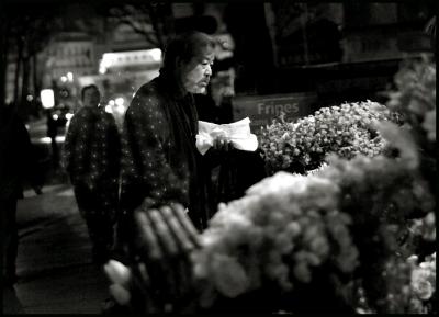 Night Bouquet. Paris