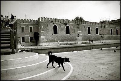 Venezia