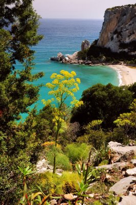 Sardinia, Cala Gonone