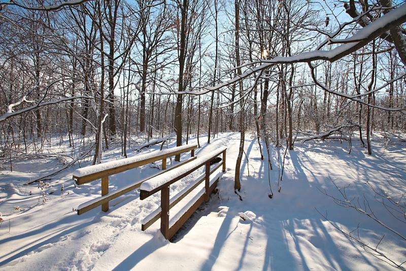 Oakville Wood Bridge.jpg