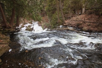 Hilton Falls