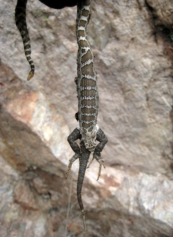 Pinnacles National Monument