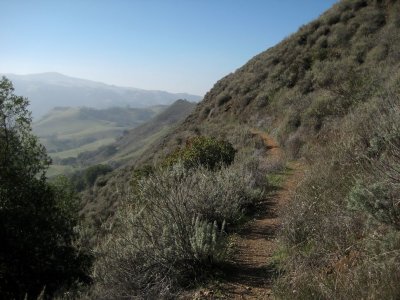 Vista Grande Trail