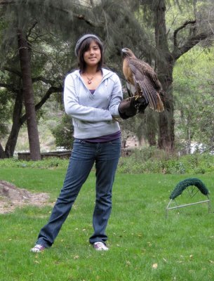 Girl with a hawk