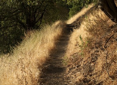 Walk before sunset