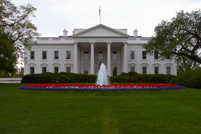White House (back)