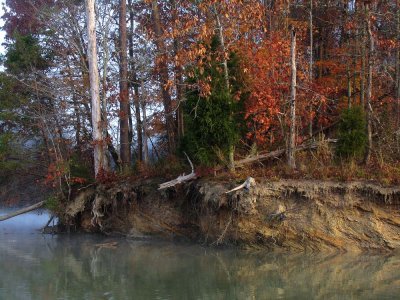 Fall color on Melton Hill Lake