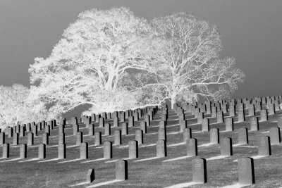 The National Cemetery, Chattanooga, TN