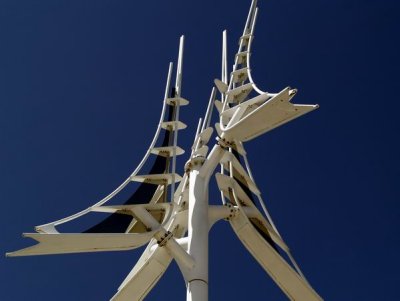 _4162597.JPG