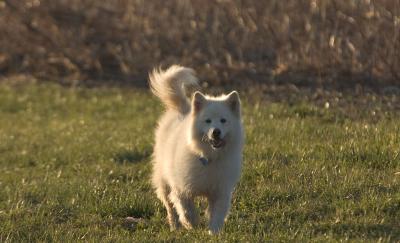 CRW_4120.jpg