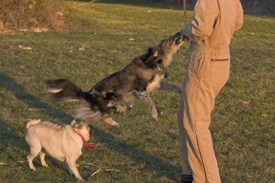 CRW_4128.jpg