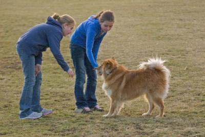 CRW_4324.jpg