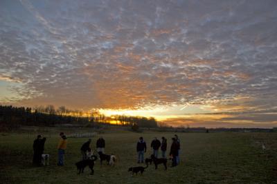 CRW_4382.jpg