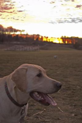CRW_4391.jpg