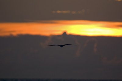 CRW_9003.jpg