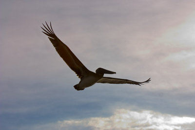 CRW_9040.jpg