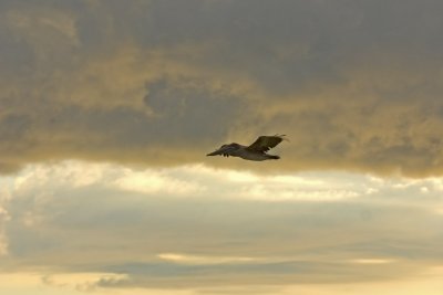 CRW_9113.jpg