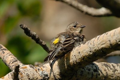 DSC_5773.jpg