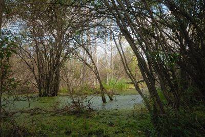 DSC_6787.jpg