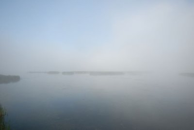 DSC_6822.jpg