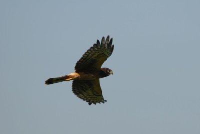 DSC_6953.jpg