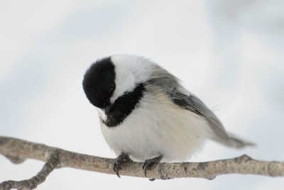 DSC_2877.jpg
