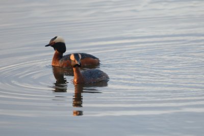 DSC_5321.jpg