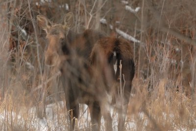 DSC_3443.jpg