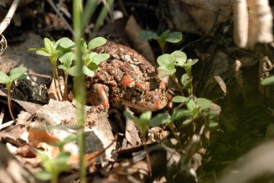 DSC_6008.jpg