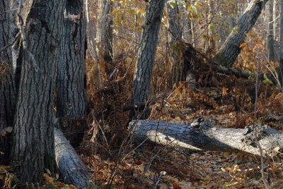 DSC_5970.jpg