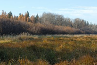 DSC_5980.jpg