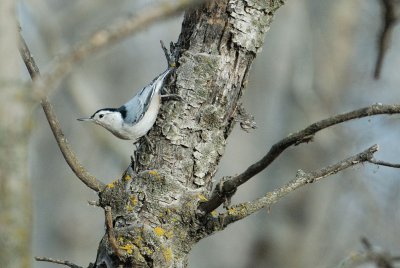 DSC_6715.jpg
