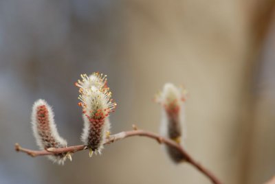 DSC_0095.jpg