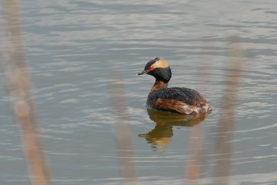 DSC_0792.jpg