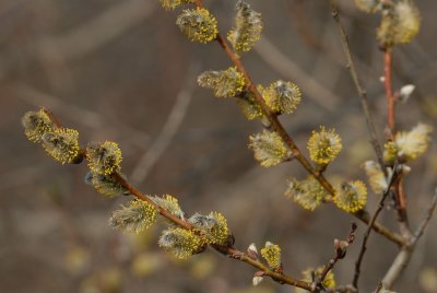 DSC_0703.jpg
