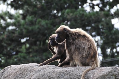 _DSC5783.JPG