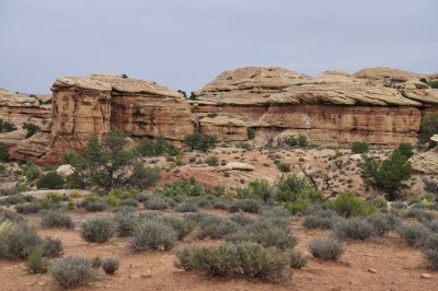 _DSC9133.jpg