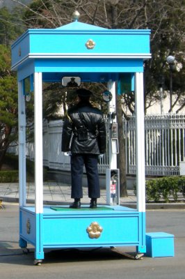 Standing Watch at the Blue House