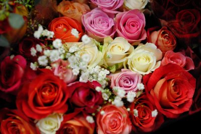 And I will make thee beds of roses And a thousand fragrant posies. - Christopher Marlowe