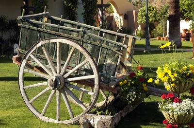 Palm Springs Cart