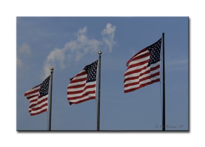 Flags