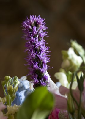 Above the Bouquet