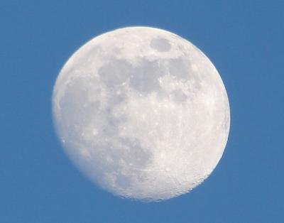 Daytime Moon 1-11-06