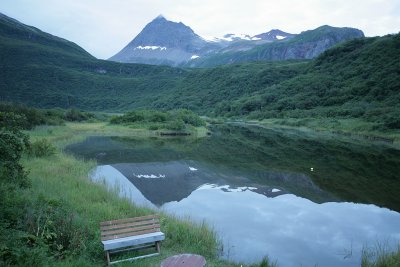 The view from the back deck .. real Alaskan wilderness