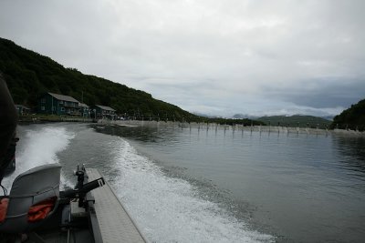 The weir on the Chignik